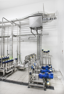 Egg dosing system